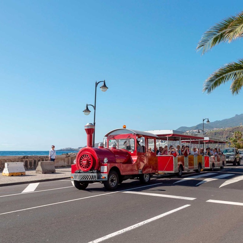 Red tourist train on coastal road with mountains and palm trees.