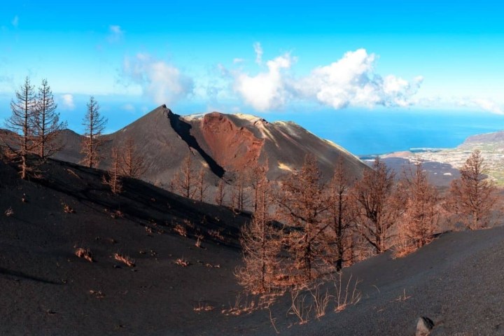 Volcanic landscape with barren trees and distant ocean view under a blue sky.