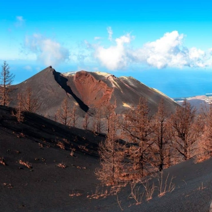 Volcanic landscape with barren trees and distant ocean view under a blue sky.