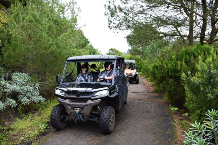 Two off-road vehicles with passengers driving on a forest path.