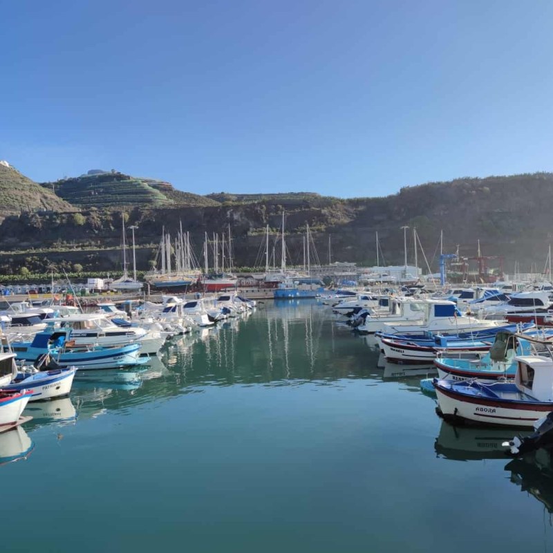 Scenic marina with boats and mountains in the background on a sunny day.