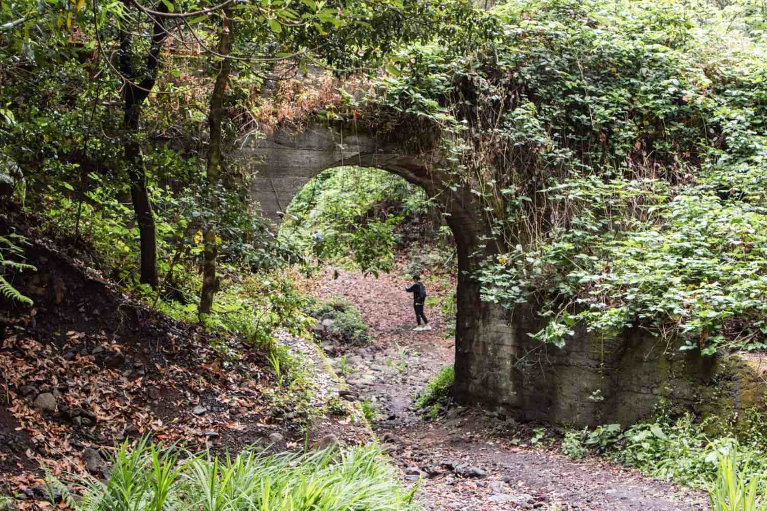 Two people walking under an overgrown stone arch in a forest.